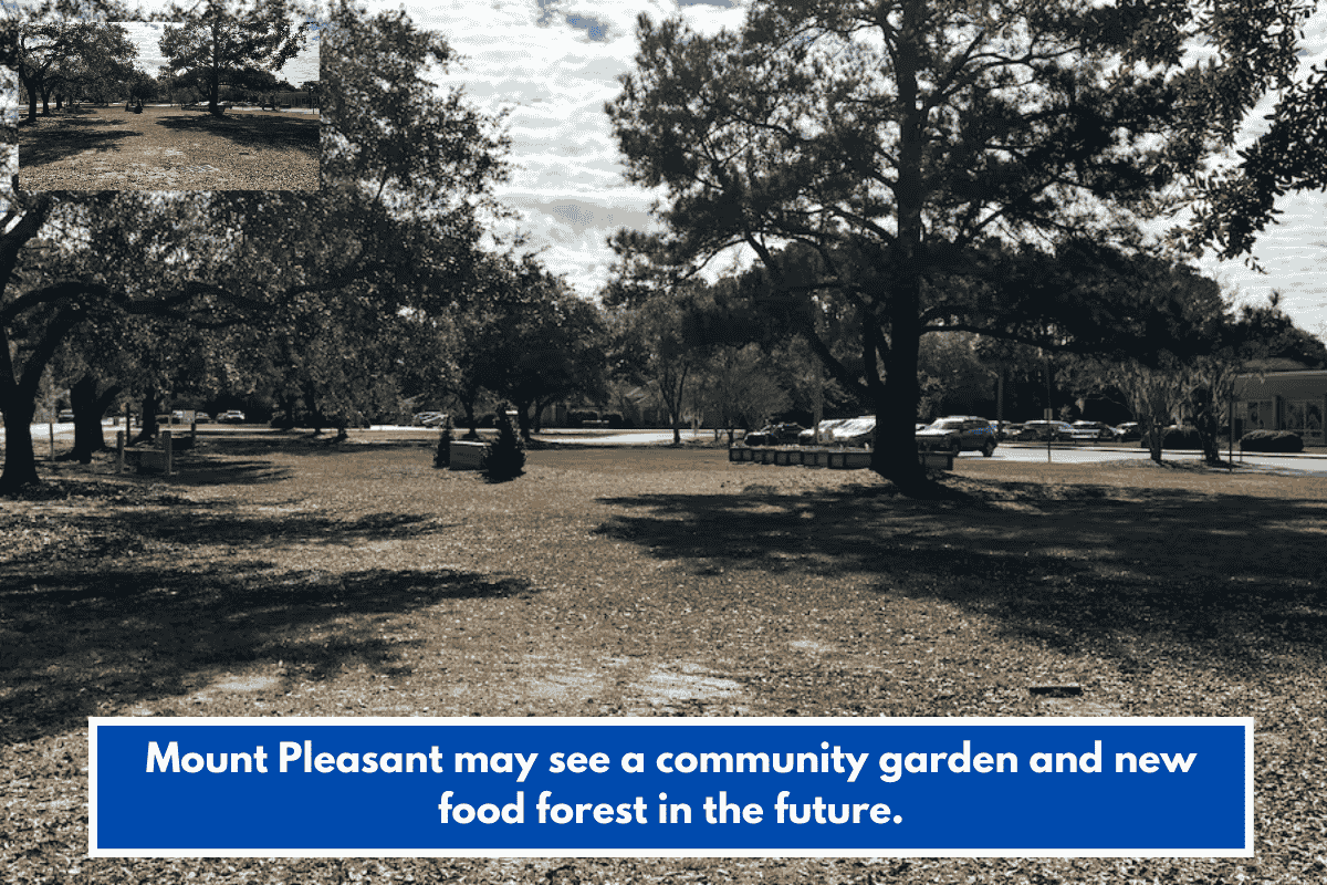 Mount Pleasant may see a community garden and new food forest in the future.
