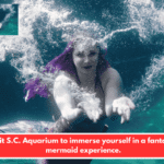 Visit S.C. Aquarium to immerse yourself in a fantastic mermaid experience.