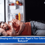 Is Sleeping on a Refrigerator Illegal in Your Colorado Backyard?