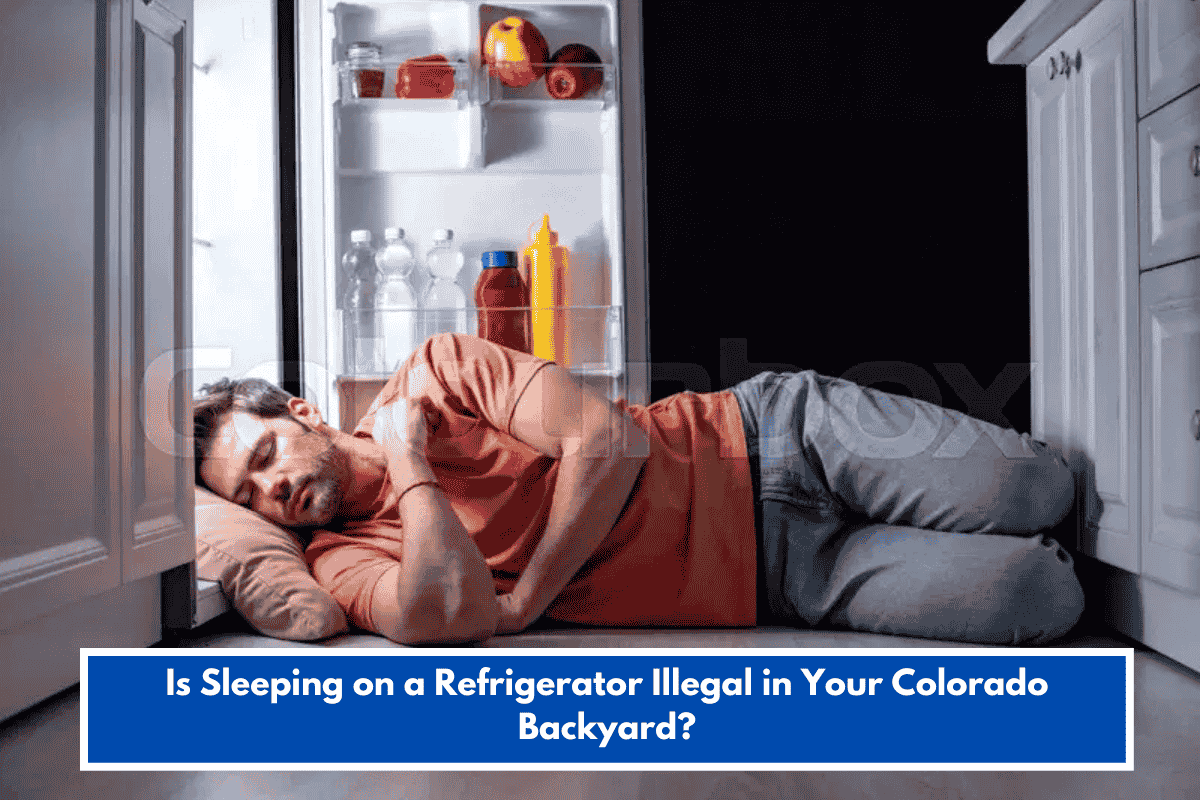 Is Sleeping on a Refrigerator Illegal in Your Colorado Backyard?