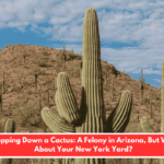 Chopping Down a Cactus: A Felony in Arizona, But What About Your New York Yard?