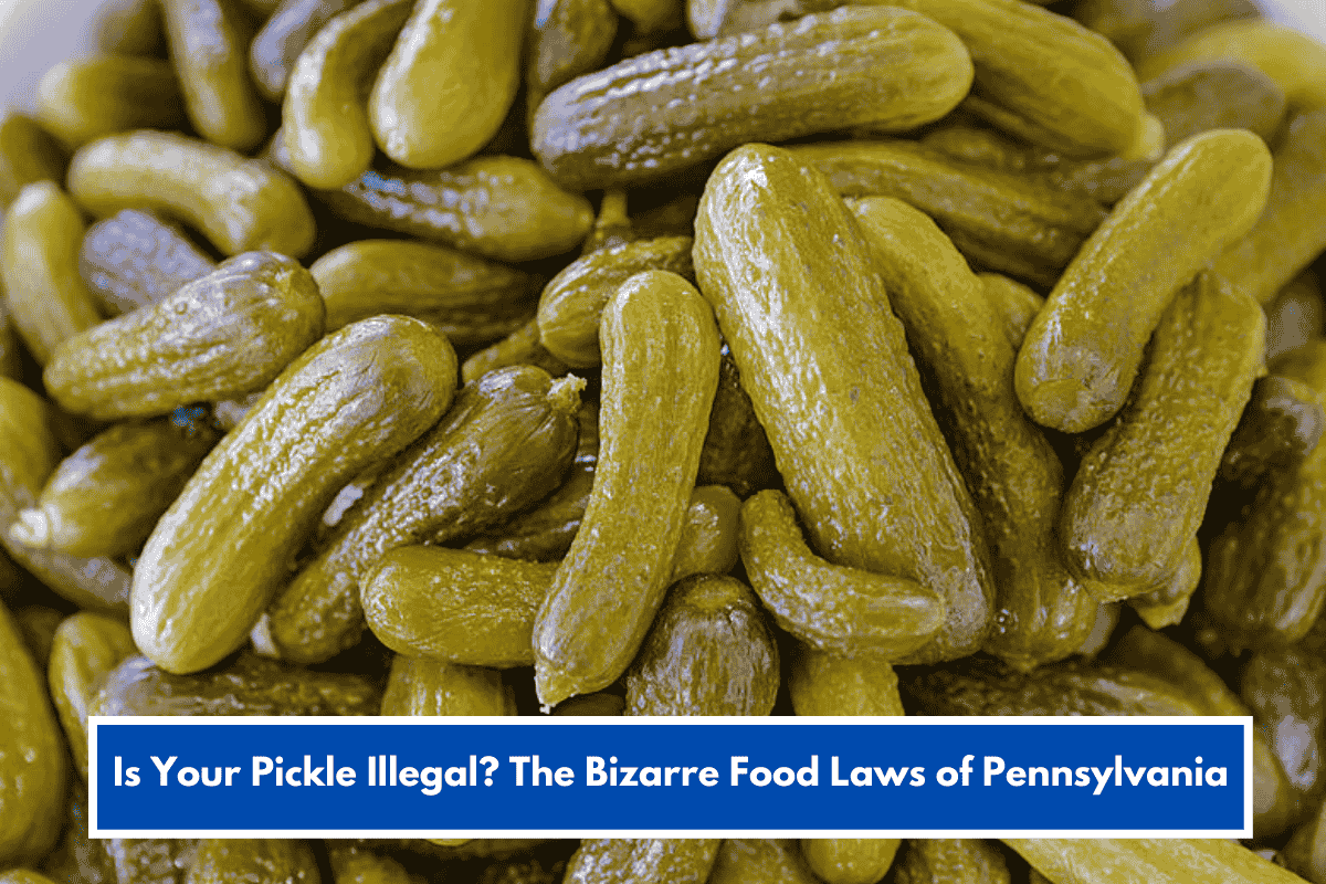 Is Your Pickle Illegal? The Bizarre Food Laws of Pennsylvania