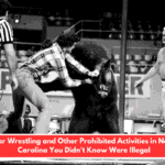 Bear Wrestling and Other Prohibited Activities in North Carolina You Didn't Know Were Illegal