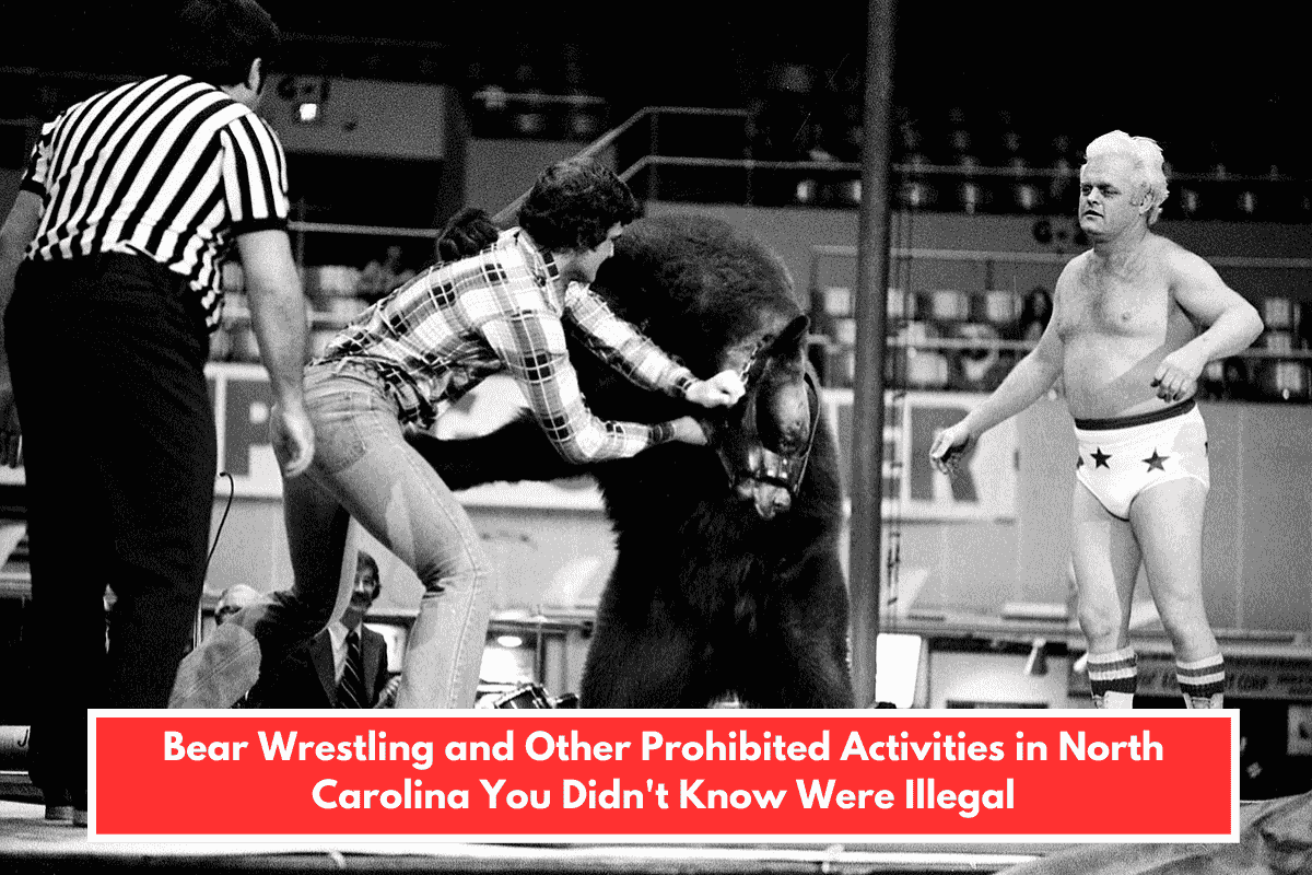 Bear Wrestling and Other Prohibited Activities in North Carolina You Didn't Know Were Illegal