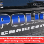 A man was detained in Hampton Park for attacking police officers and exposing himself indecently.