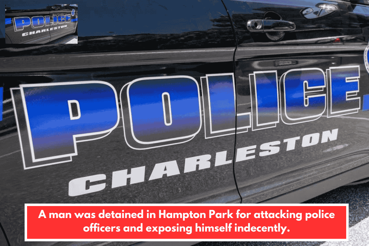 A man was detained in Hampton Park for attacking police officers and exposing himself indecently.