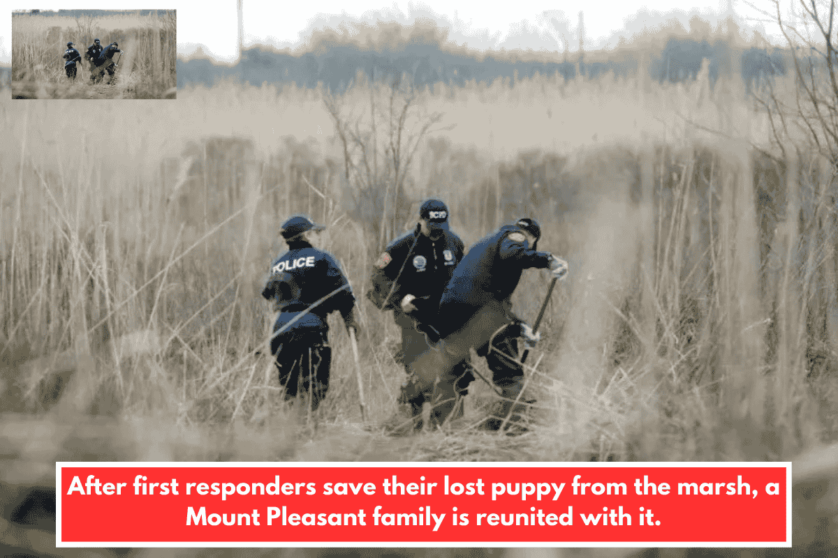 After first responders save their lost puppy from the marsh, a Mount Pleasant family is reunited with it.