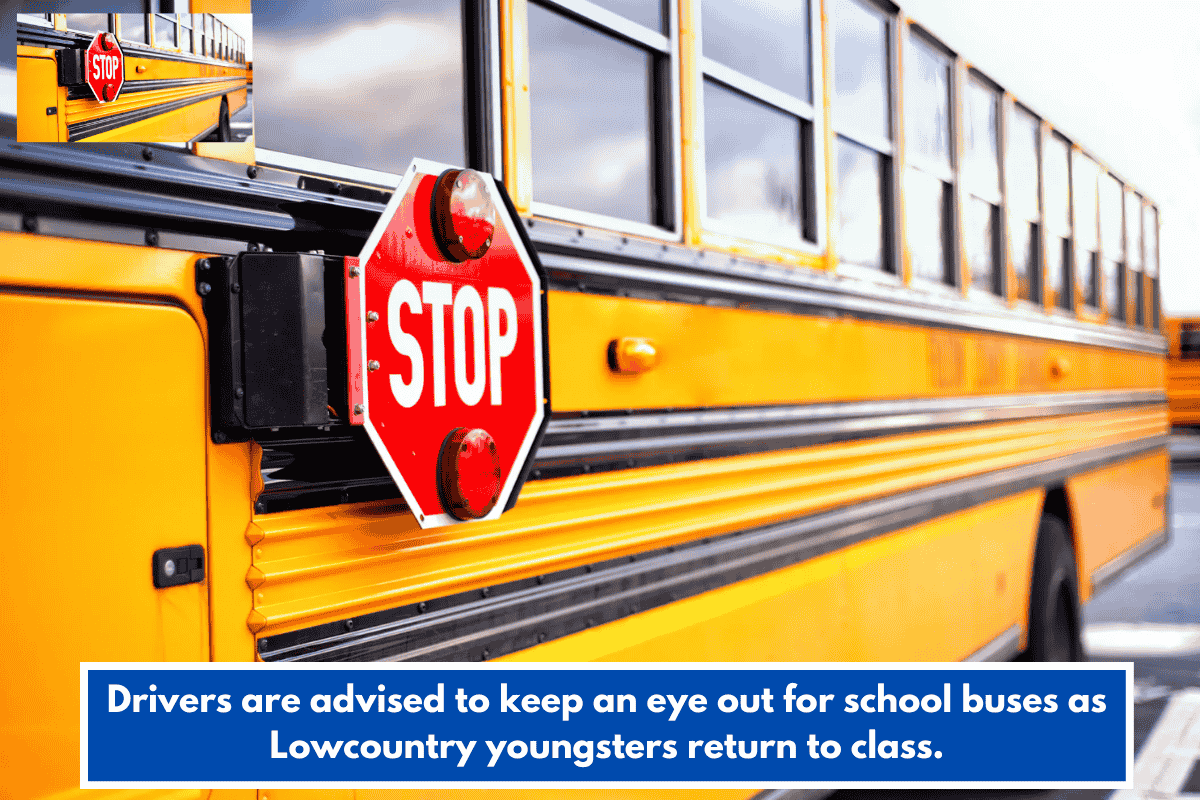 Drivers are advised to keep an eye out for school buses as Lowcountry youngsters return to class.