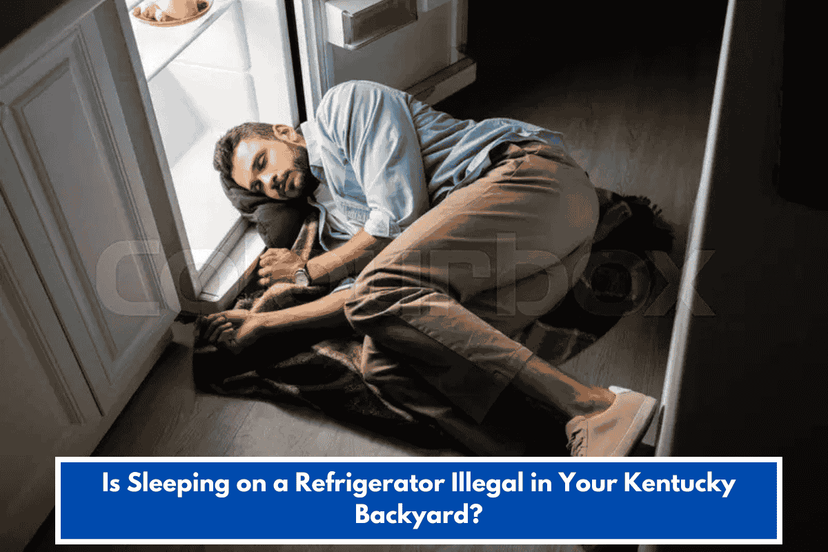 Is Sleeping on a Refrigerator Illegal in Your Kentucky Backyard?