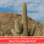 Chopping Down a Cactus: A Felony in Arizona, But What About Your Colorado Yard?