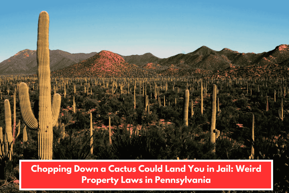 Chopping Down a Cactus Could Land You in Jail: Weird Property Laws in Pennsylvania