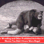 Bear Wrestling and Other Prohibited Activities in New Mexico You Didn't Know Were Illegal