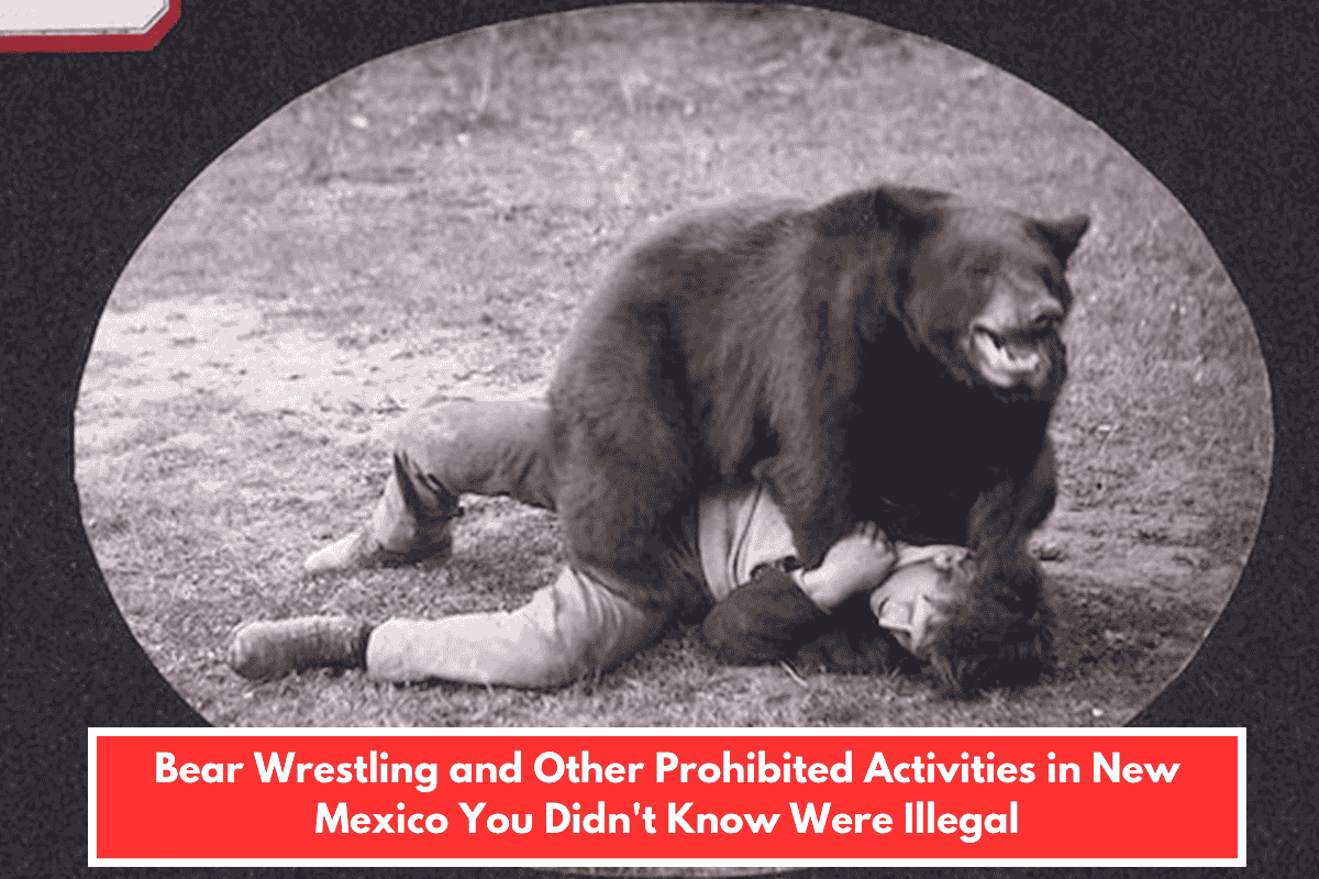 Bear Wrestling and Other Prohibited Activities in New Mexico You Didn't Know Were Illegal