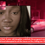 While their 3-year-old daughter watched, the pregnant mother's boyfriend attempted to set the house on fire, killing her: Police