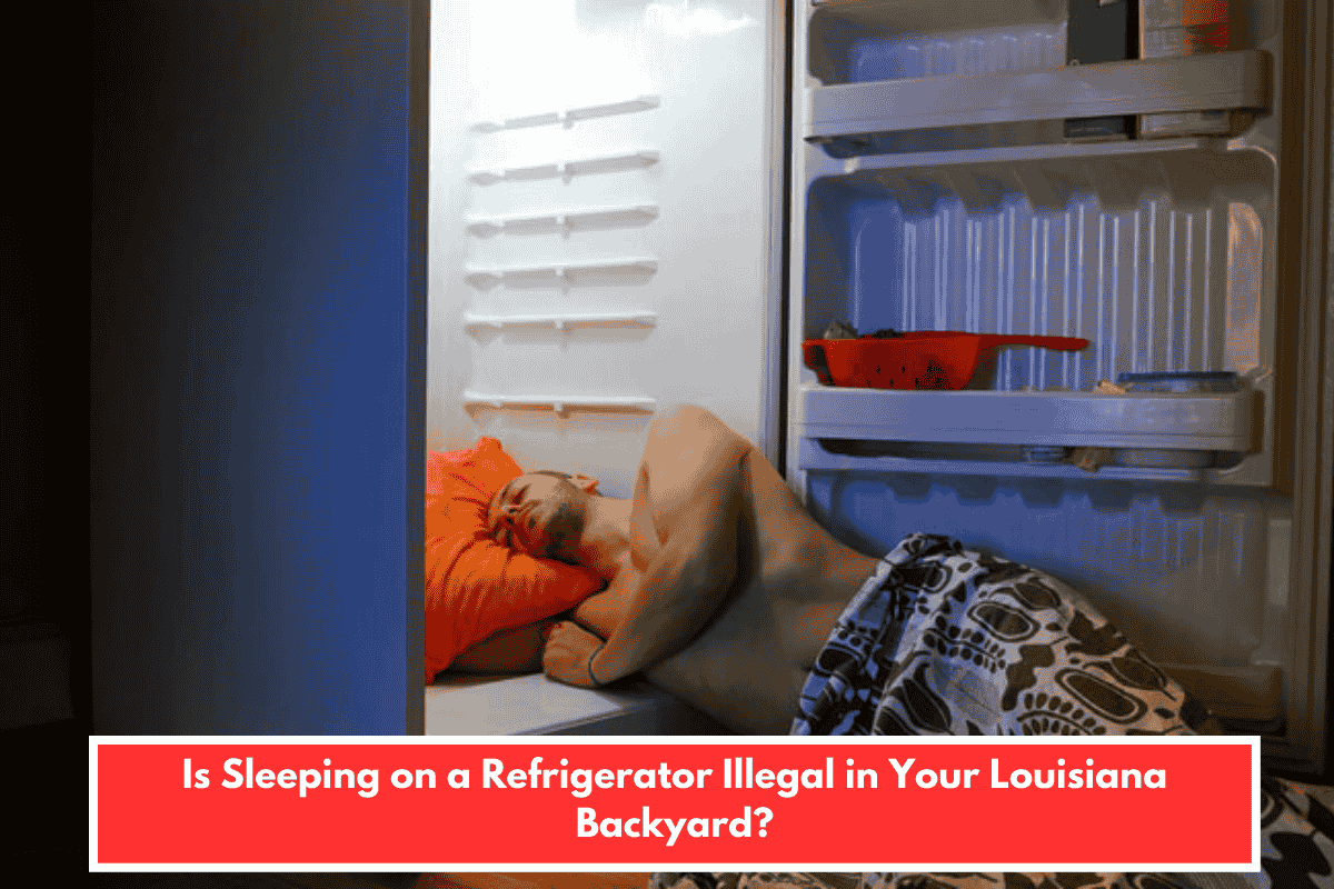 Is Sleeping on a Refrigerator Illegal in Your Louisiana Backyard?