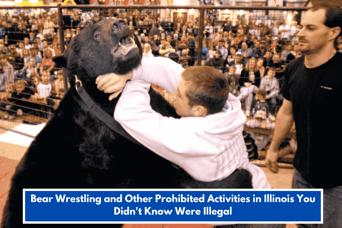 Bear Wrestling and Other Prohibited Activities in Illinois You Didn't Know Were Illegal