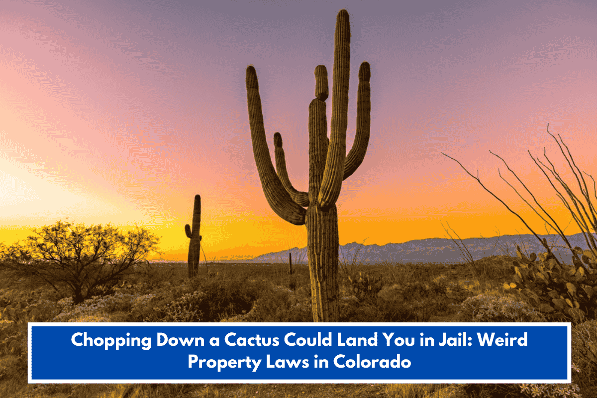 Chopping Down a Cactus Could Land You in Jail: Weird Property Laws in Colorado