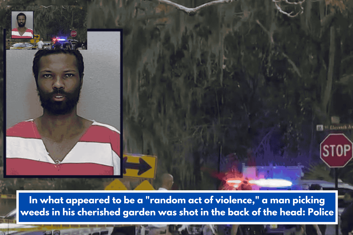 In what appeared to be a "random act of violence," a man picking weeds in his cherished garden was shot in the back of the head: Police