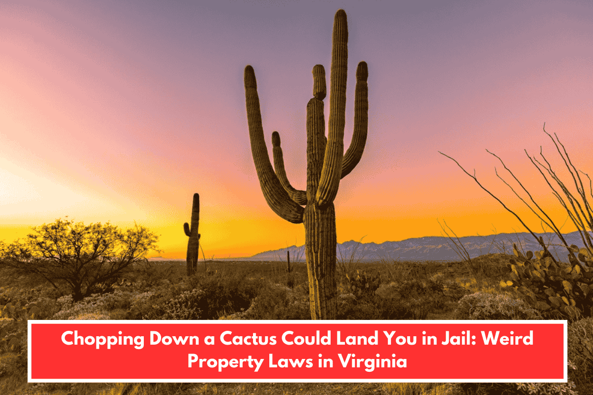 Chopping Down a Cactus Could Land You in Jail: Weird Property Laws in Virginia