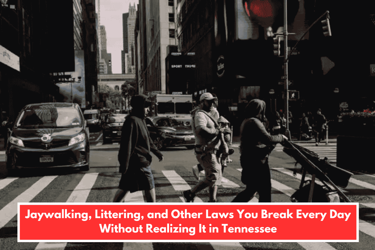 Jaywalking, Littering, and Other Laws You Break Every Day Without Realizing It in Tennessee