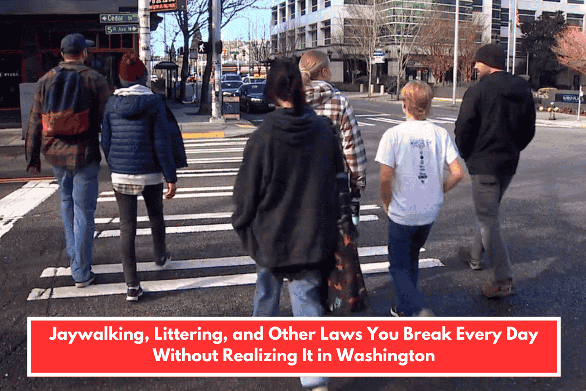 Jaywalking, Littering, and Other Laws You Break Every Day Without Realizing It in Washington