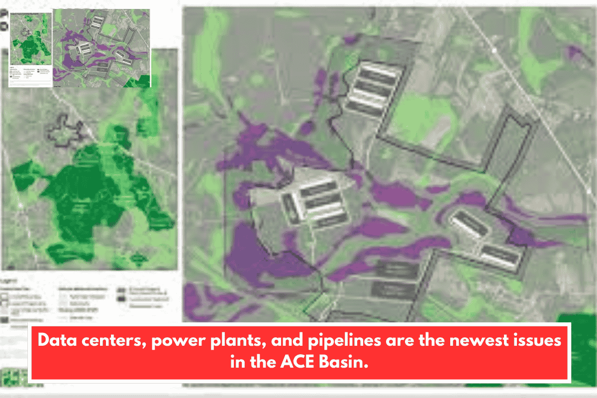 Data centers, power plants, and pipelines are the newest issues in the ACE Basin.