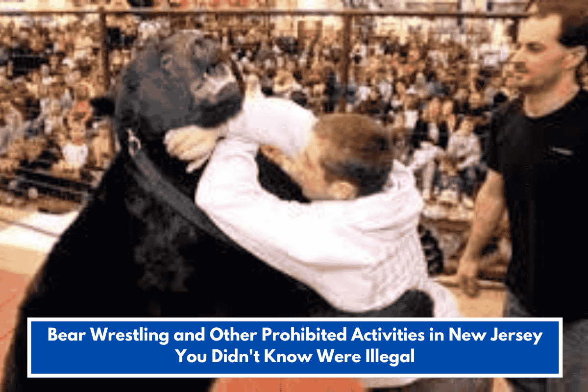 Bear Wrestling and Other Prohibited Activities in New Jersey You Didn't Know Were Illegal