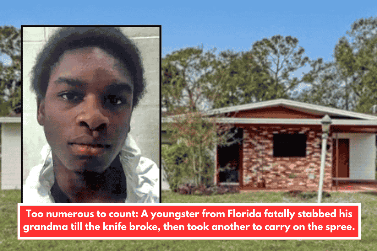 Too numerous to count: A youngster from Florida fatally stabbed his grandma till the knife broke, then took another to carry on the spree.