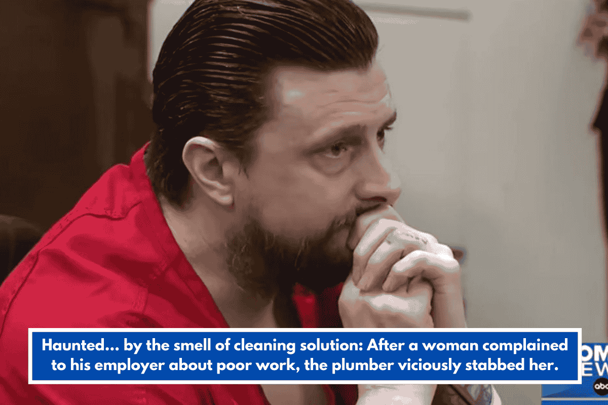 Haunted... by the smell of cleaning solution: After a woman complained to his employer about poor work, the plumber viciously stabbed her.