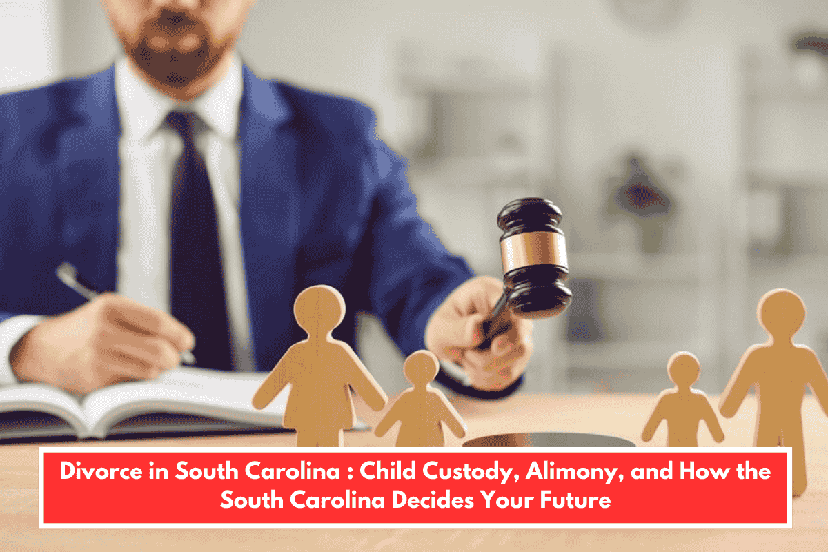Divorce in South Carolina : Child Custody, Alimony, and How the South Carolina Decides Your Future