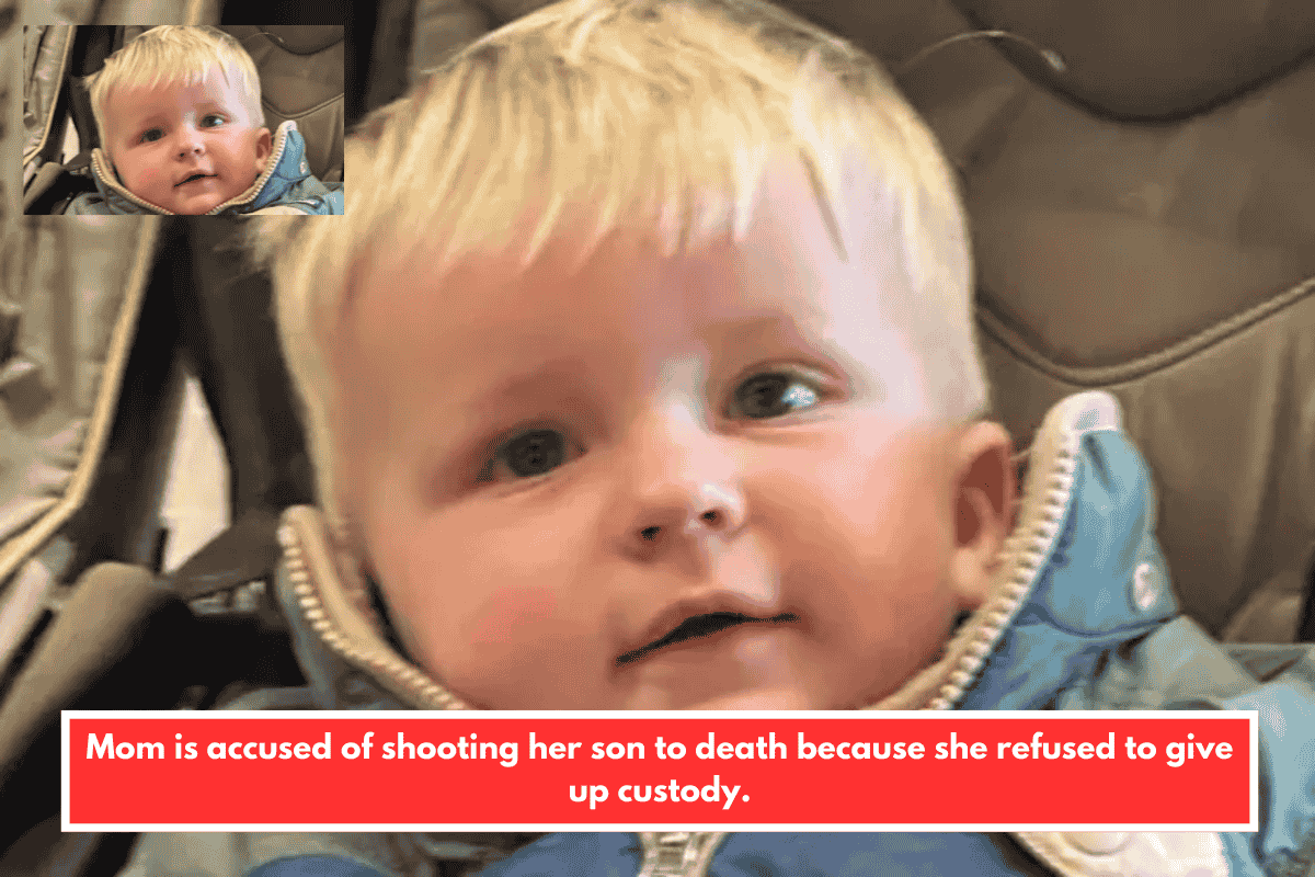 Mom is accused of shooting her son to death because she refused to give up custody.