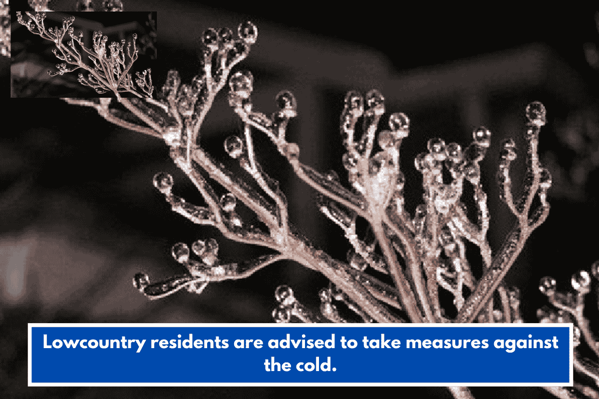 Lowcountry residents are advised to take measures against the cold.