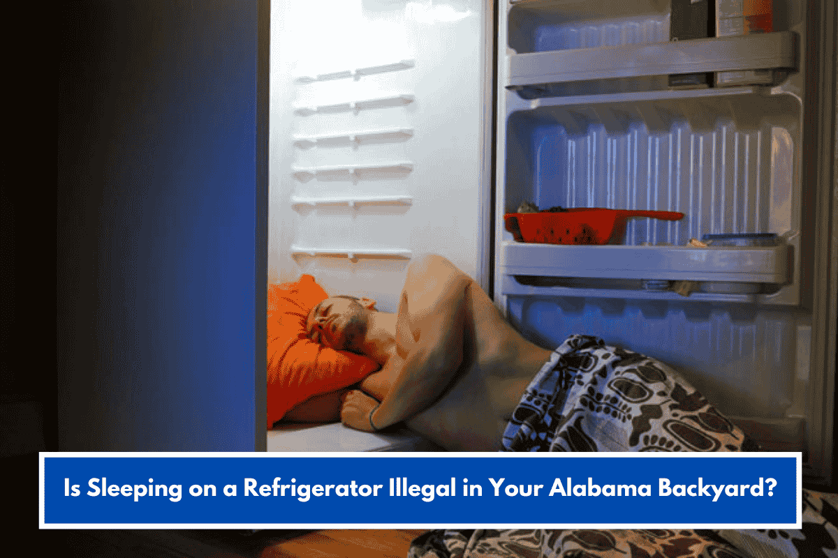 Is Sleeping on a Refrigerator Illegal in Your Alabama Backyard?