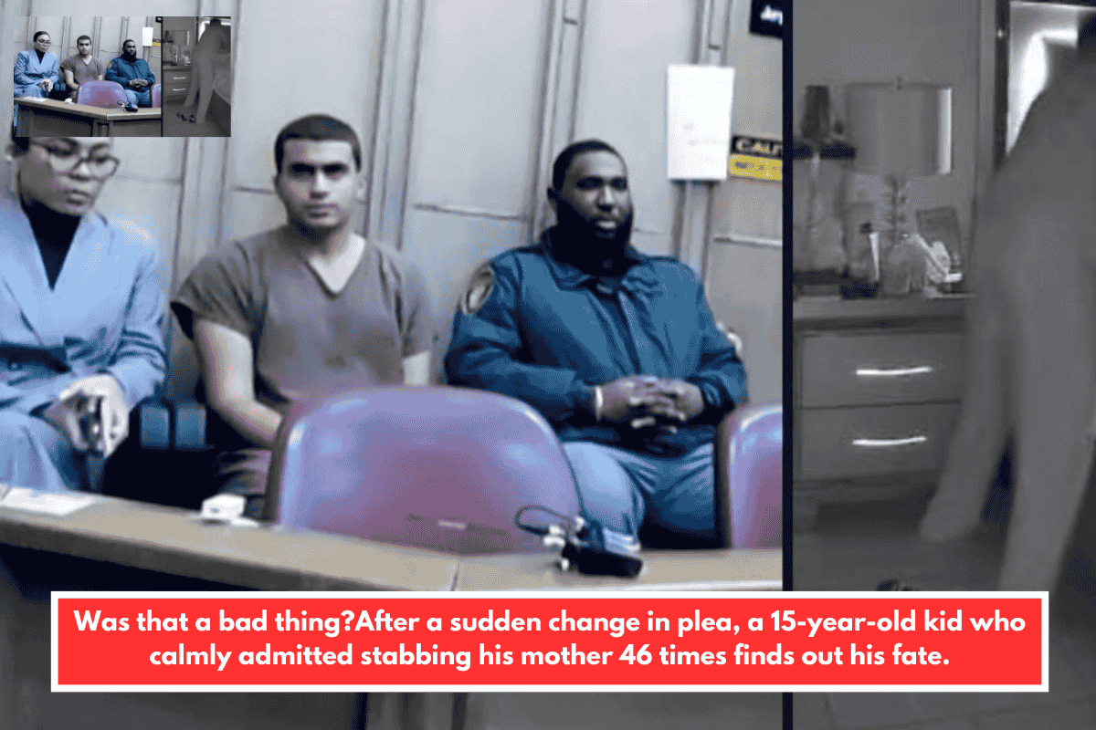 Was that a bad thing?After a sudden change in plea, a 15-year-old kid who calmly admitted stabbing his mother 46 times finds out his fate.