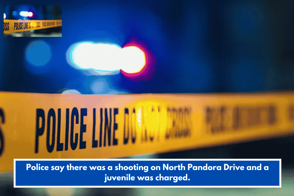 Police say there was a shooting on North Pandora Drive and a juvenile was charged.