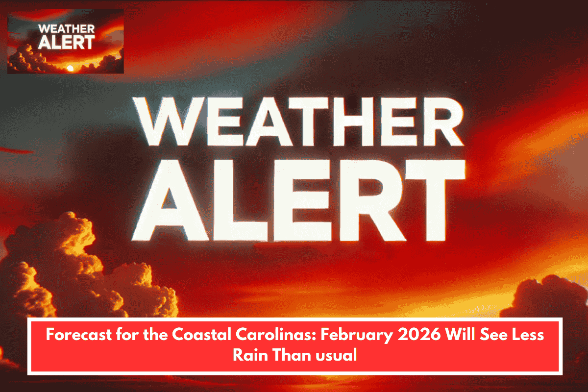 Forecast for the Coastal Carolinas: February 2026 Will See Less Rain Than usual