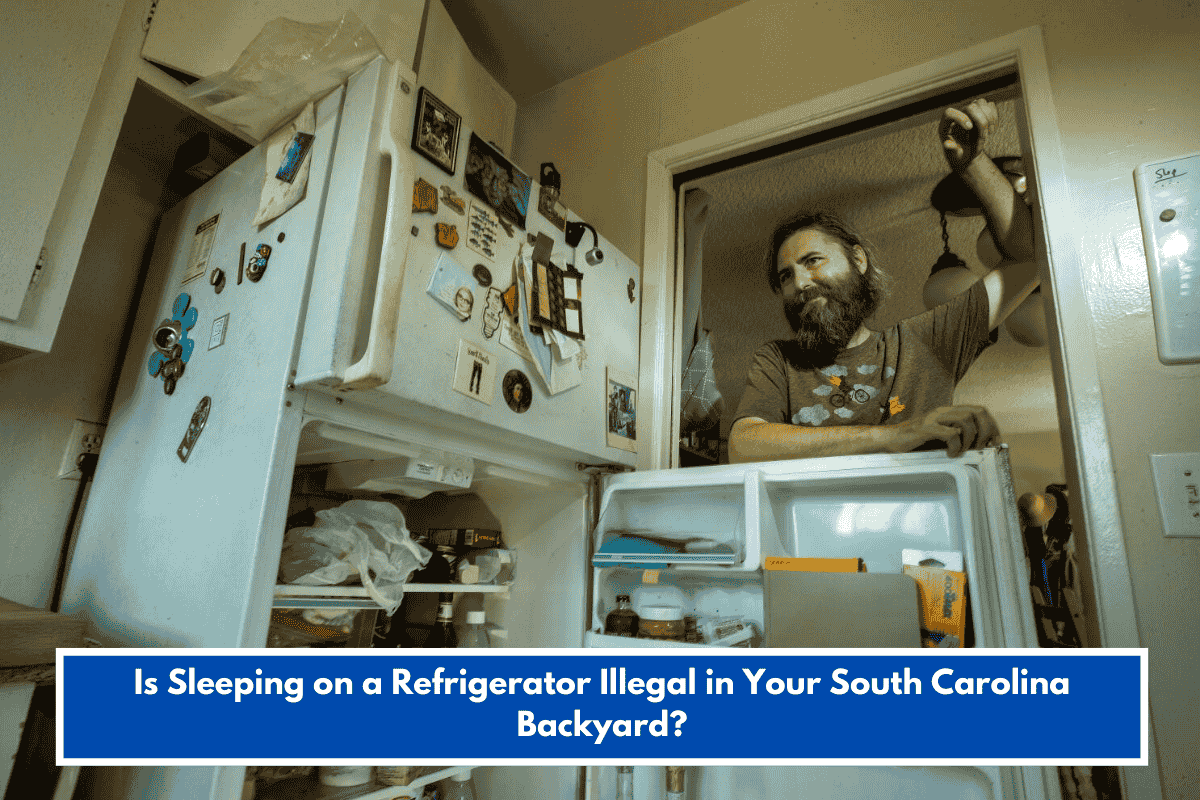 Is Sleeping on a Refrigerator Illegal in Your South Carolina Backyard?