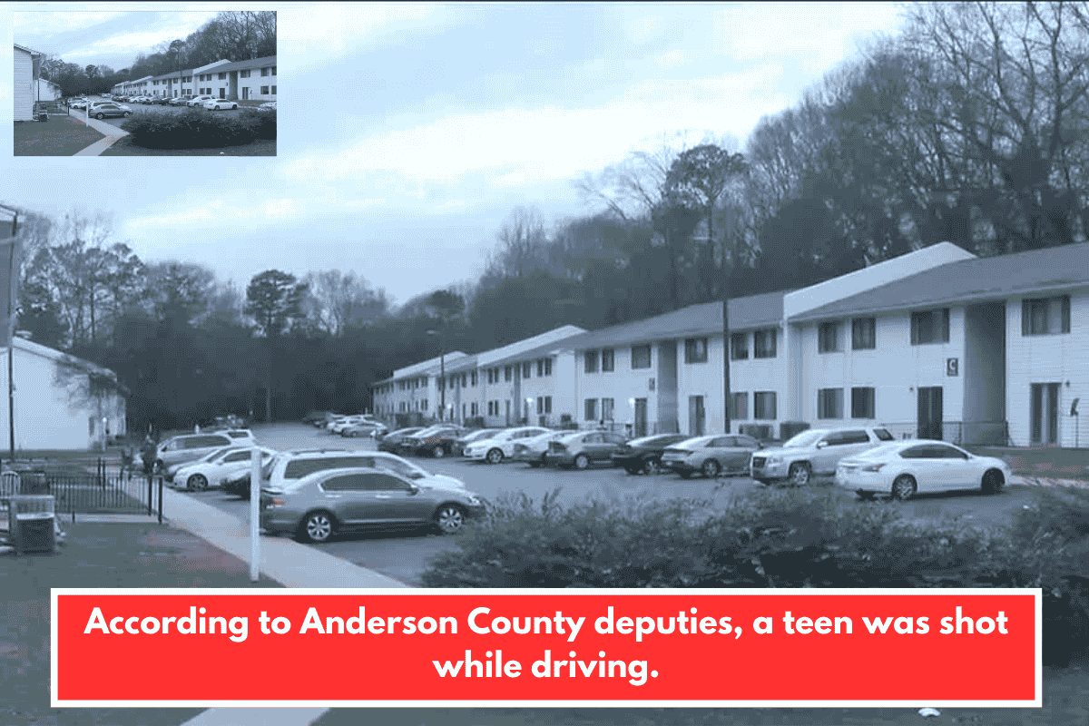 According to Anderson County deputies, a teen was shot while driving.