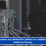 A woman was detained in relation to a stabbing in Anderson County.
