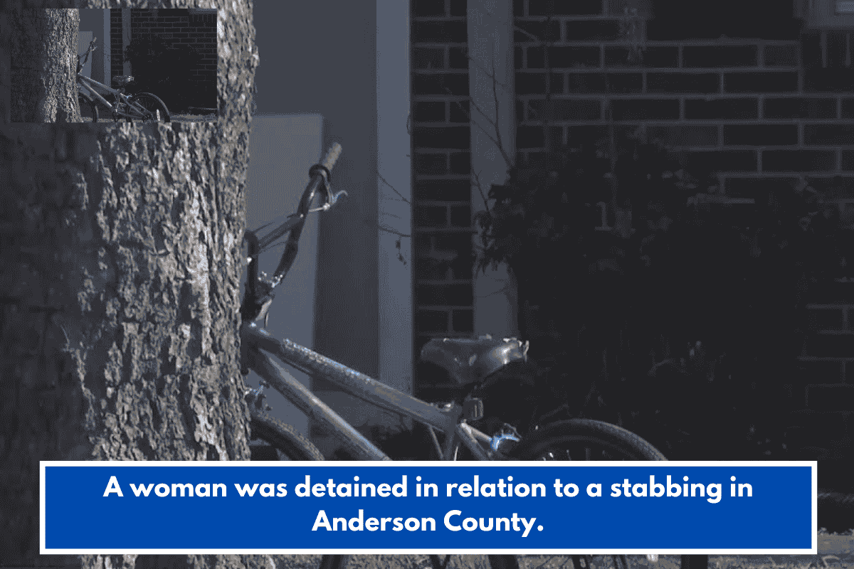 A woman was detained in relation to a stabbing in Anderson County.
