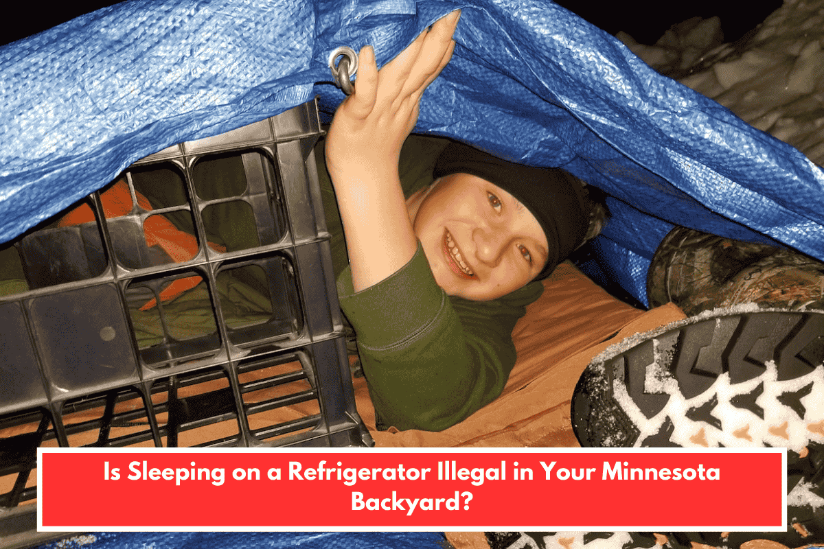 Is Sleeping on a Refrigerator Illegal in Your Minnesota Backyard?