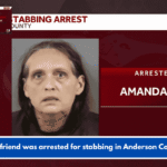 A girlfriend was arrested for stabbing in Anderson County.