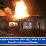Two people are relocated and a dog is killed in a late-night house fire in Lexington County.