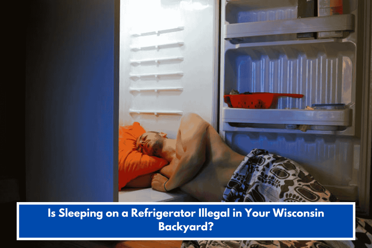 Is Sleeping on a Refrigerator Illegal in Your Wisconsin Backyard?