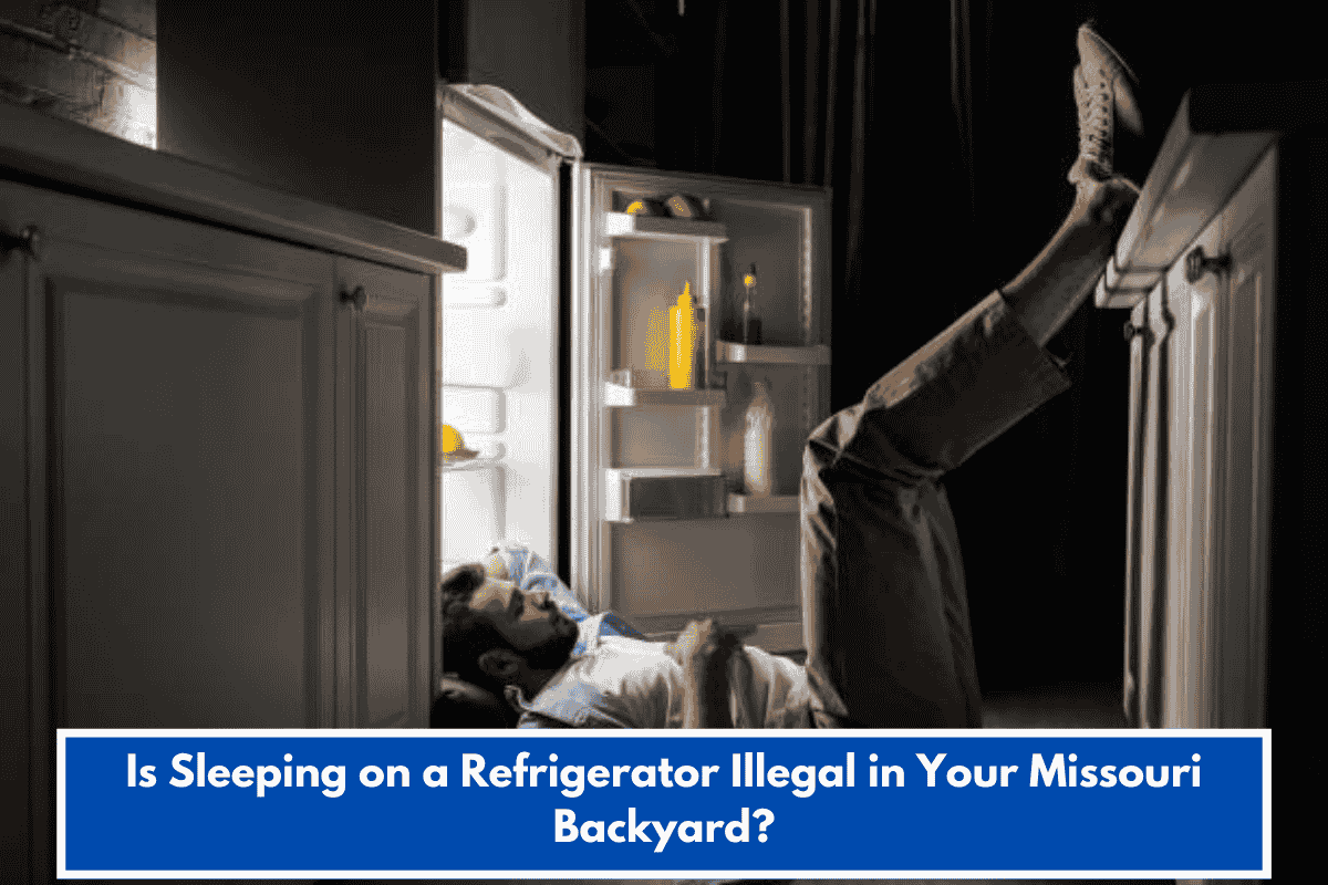 Is Sleeping on a Refrigerator Illegal in Your Missouri Backyard?