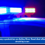Police say a pedestrian on Ashley River Road died after being struck by a car.