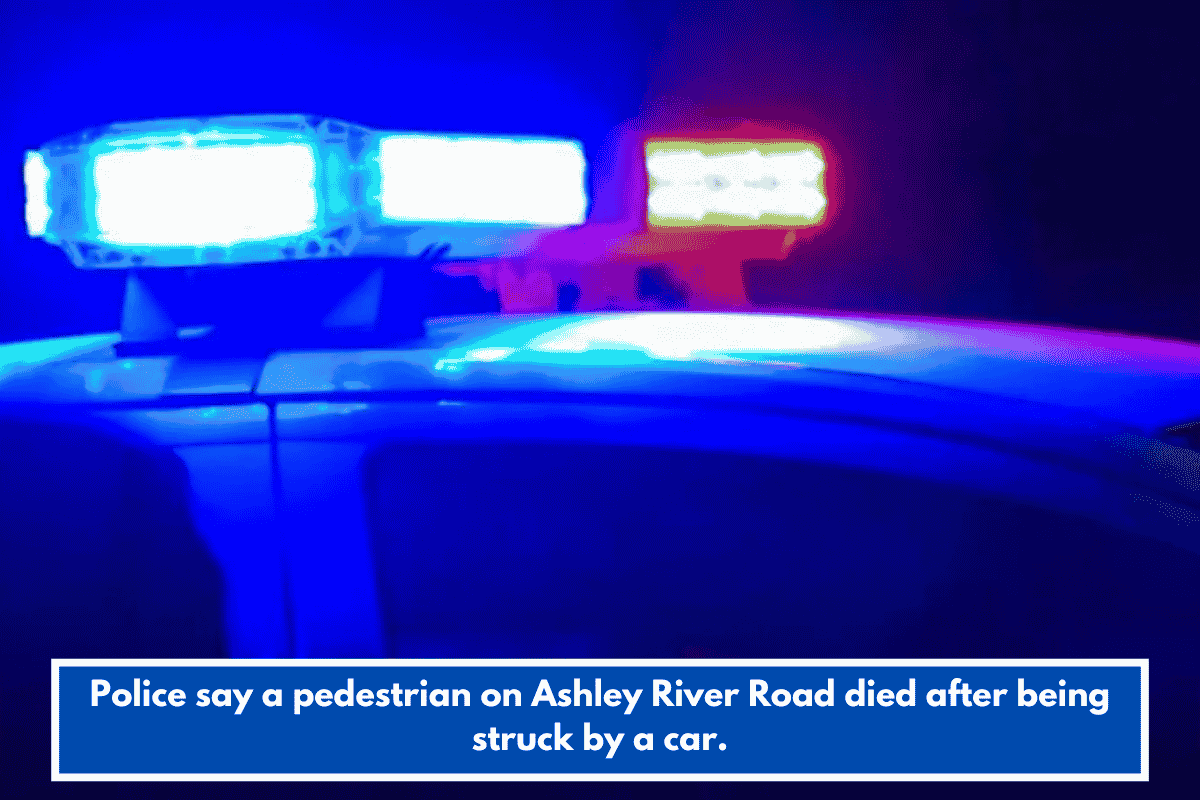 Police say a pedestrian on Ashley River Road died after being struck by a car.