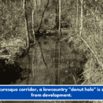 In a picturesque corridor, a lowcountry "donut hole" is shielded from development.
