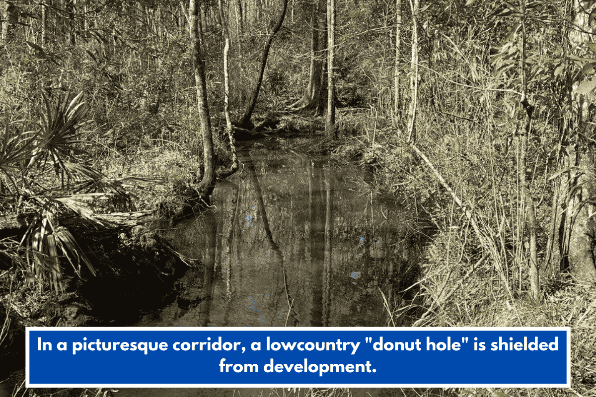 In a picturesque corridor, a lowcountry "donut hole" is shielded from development.