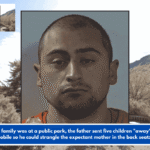 When the family was at a public park, the father sent five children "away" from the automobile so he could strangle the expectant mother in the back seat: Police